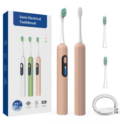 China PP China Manufacturers Compact Design Customized Low Noise Teeth Whitening Adult Electric Toothbrush for sale