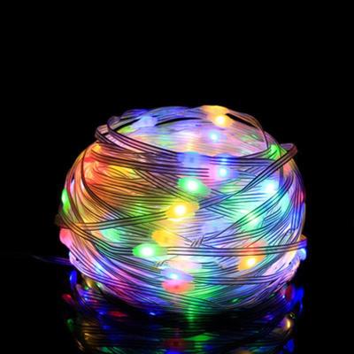 China Factory Promotion Controller PVC Coating Waterproof Copper Christmas Holiday RGB String Light 5*10*12 for sale