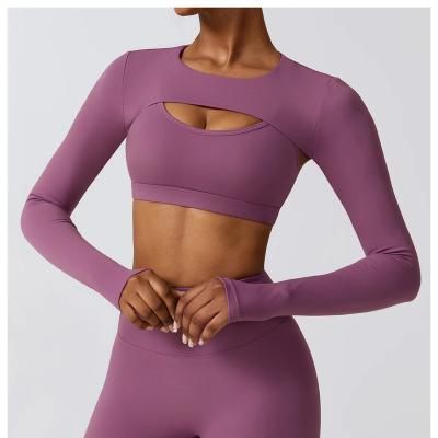 China Breathable Wholesale Clothing Fashion Purple Slim Workout Sexy Customized High Stretch Fitness Yoga Top Long Sleeve Yoga Wear Set for sale