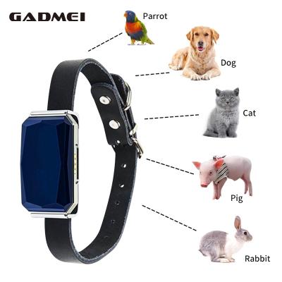 China GPS+WIFI+LSB Three Mode Smart Magnetic Pet Gps 4G Tracker Cat Dog Gps Mini Tracking Waterproof Collar Gps Tracking Device Pet Tracker for sale