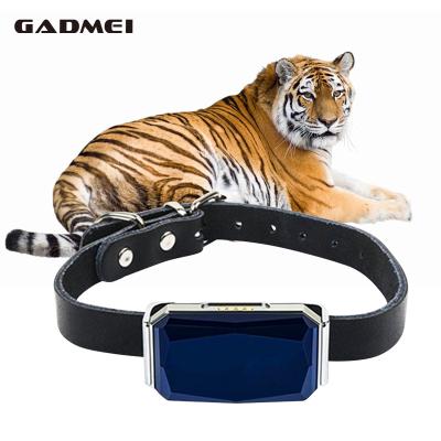 China GPS+WIFI+LSB Three Mode GPS Wristband Tracker Dog Collar Dog Cow Pets Horse Gps Tracker For Birds for sale