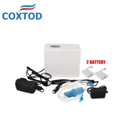 China High Quality Oxygenation 3L Oxygen Concentrator With Lithium Battery For Home / Car / Travel for sale