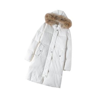 China Breathable Women Stripper Down Jacket With Super Thick Hood And Real Fur Border Coat Long Down Warm for sale