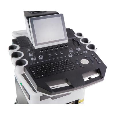 China China Acrylic Professional 19 Inch Monitor Touch Screen 3d Medical Ultrasound Scanning Machine for sale