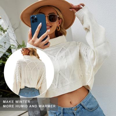 China Anti-wrinkle Autumn Winter Short Turtleneck Women Sweater Loose Knitted Pullovers for sale