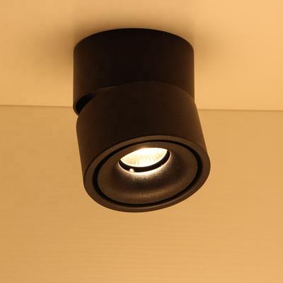 China Surface Mounted Aluminum Cylinder 360D Rotating 12W Led Ceiling Light Lamp Fixture for sale