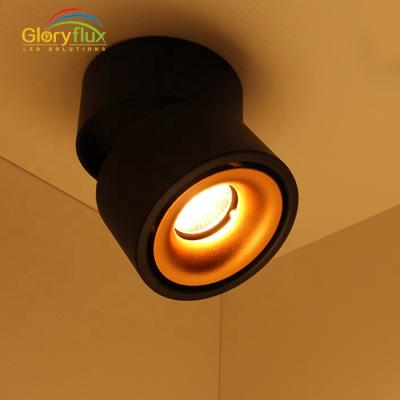 China Black And White Color Surface Mounted 5W Rotating And Tilting Unique Design Led Ceiling Mounted Ceiling Light Lamp for sale