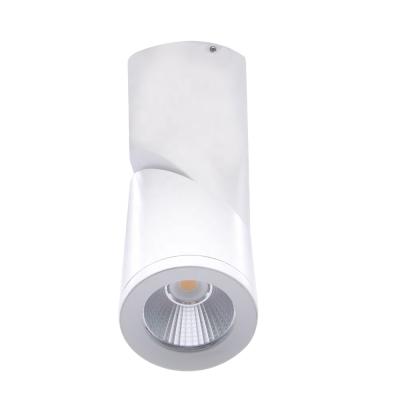 China Swing Style Outdoor Aluminum Mounted Led Ceiling Down Light Black And White Housing 15W 100-240V for sale