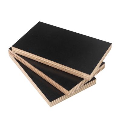 China Indoor First-Class Eucalyptus Wood Core Plywood with Advanced Raw Material Production for sale