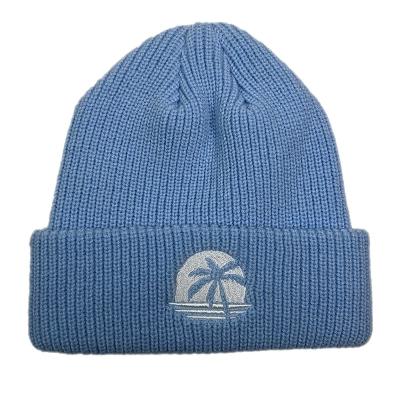 China OEM COMMON high quality acrylic unisex blue thick knit winter hat embroidery warm custom white logo ribbed beanie hat for sale