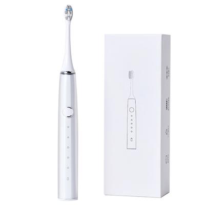 China Luxury High Quality Electric Toothbrush Rechargeable Battery Operated For For Adults for sale