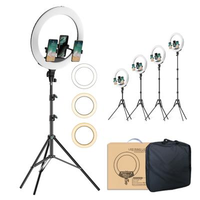 Chine Maquillage Live Show Photographic Lighting Circle Ring Lamp Selfie Led de Youtube support de Ring Light Photography With Tripod de 18 pouces à vendre