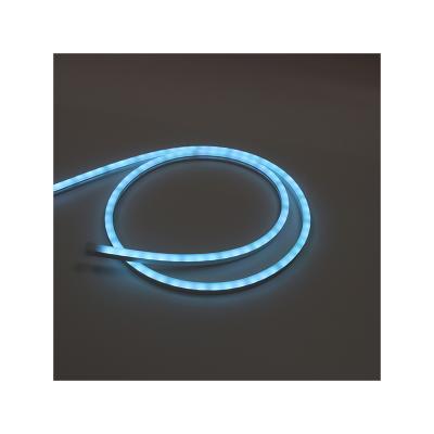 China LANDSCAPE 0815 Factory Direct Silicon Rope IP67 Flexible DC 24V Pixel Led Neon Strip Light for sale