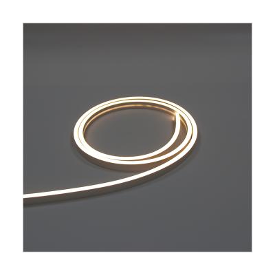 China LANDSCAPE 0612 12V/24V IP67 factory price neon led lights flexible soft strip for sale