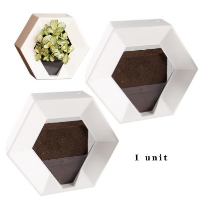 China 2020 Modern New Indoor Eco - Friendly Self Watering Decor Plastic Wall Mounted Flower Pot With Planting Sponge for sale