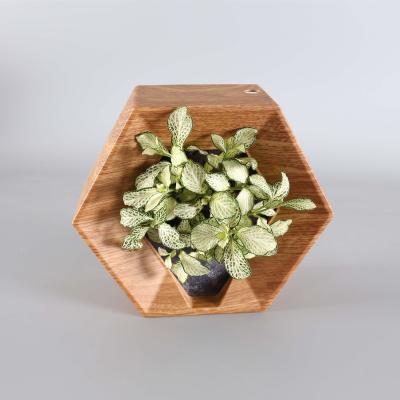 China New Design Modern Hexagon Sponge Culture Hanging Flower Pots for sale