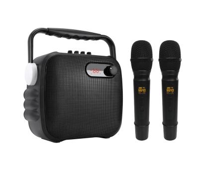 China Recording/TF card/USB port/FM radio/Line In/Bluetooth/Microphone Hit Party DJ Portable Karaoke Speaker Stereo Sound Radio with Dual Microphones for sale