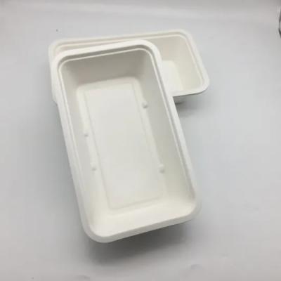 China Disposable Degradable Rectangular Bagasse Sugarcane Paper Plate for sale