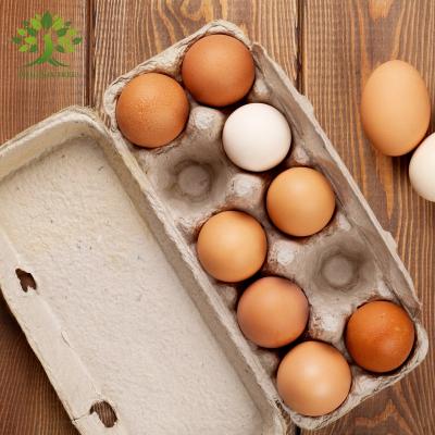 China PT PACK Pulp Custom 12 Biodegradable Molded Cell Egg Carton Recyclable With Colored for sale