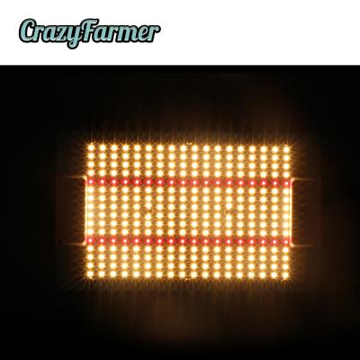 China Seed Starting 120w Tiffany Blue Heater Crazy Farmer LM301b Hydroponic Led Grow Light for sale