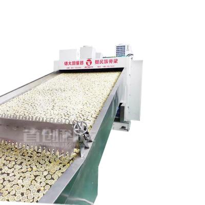 China High Efficiency Low Cost Lemon and Other Fruits and Vegetables Keep Thermostat Control Conveyor Mesh Belt Dryer for sale