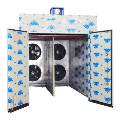 China food & Beverage Factory Van Type Grape Mango Longan Food Grade Industrial Hot Air Drying Oven For Fruit for sale