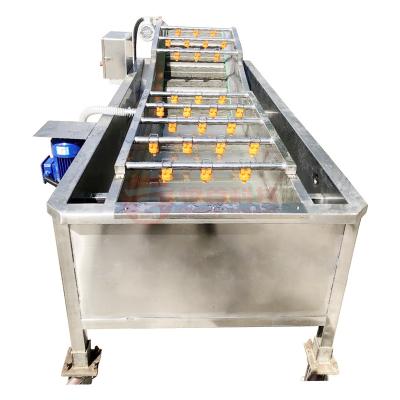 China Leafy Vegetable Ginger Washing Machine Automatic Snack Plant Pineapple Washing Potato Banana for sale