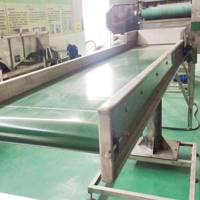 China Oil Resistant OEM Professional Custom Micro PVC Belt Conveyor Line For Supply for sale