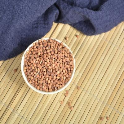 China Sichuan Huantai Bulk Dry Cooked Buckwheat Kernel Nutrition Grain Roasted Brown Rice Buckwheat Tartary Factory for sale