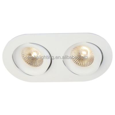 China Hotel Competitive Price Led Light Adjustable 2*10w Led Downlight for sale