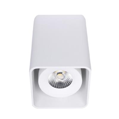 China Cuboid Hallway 11W Ceiling Lamp Adjustable Indoor Decorative Modern Spot Downlight Dimmable Outdoor Mounted Cuboid Mount Led Cob Light for sale