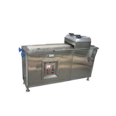 China Fruit Processing Plant Easy Operation Aloe Vera Peeling Machine Cactus Wash Skin Removing Machine for sale