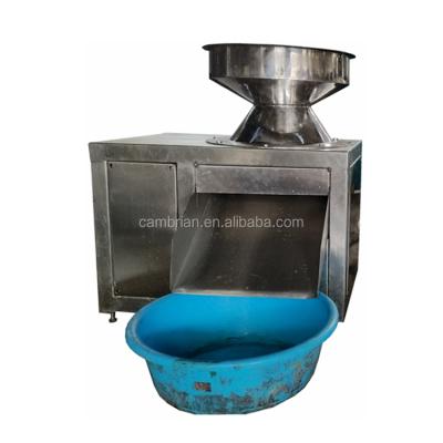 China Bakery shop dessert shop coconut processing plant used electric coconut grater to get 2mm coconut granule for sale