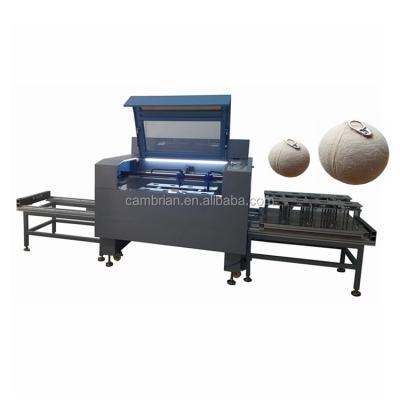 China Laser Engraving Young Coconut Laser Stamping Machine with Logo Design for Diamond Coconut for sale