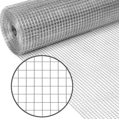 China Plain Weave Steel Welded Wire Mesh 10 Gauge Mesh Galvanized 6x6mm 2x2 Inch for sale