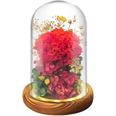 China Europe 2021 Romantic Gift Carnation Flower Mother's Day Gift Red Rose Valentine's Day Gift for sale