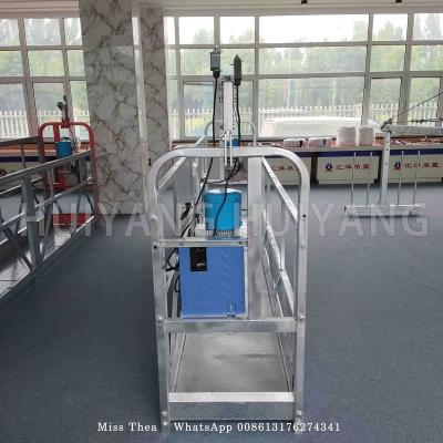 China ZLP630 Traditional Galvanized Rope Suspended Platform for sale