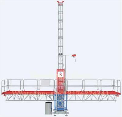 China Single Construction Site Lifter Mast Climber Platform for sale