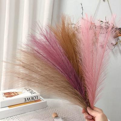 China Wholesale Yunnan High Quality Natural Dry Artificial-pampas-grass Small Reed Artificial Pampas Grass Small Wedding Party Event Decoration Long for sale