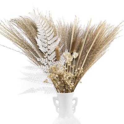 China Wholesale 45 cm Pampas Grass Flower Gray Small Dried Pampas Grass Home Wedding Natural Dried Decoration and Decor for sale