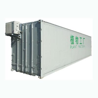 China el verde frondoso de la granja hidropónica del envase de 220V 380V que crecía 40HC refrigeró el envase en venta