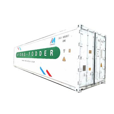 China PLC 40ft Machine van het Gerst de Automatische Hydroponic Veevoeder bespaart Water en Energie Te koop