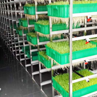 China Dagelijkse 5T aan de Slimme Hydroponic Verschepende Container van 20T voor het Kweken van Veevoeder Te koop