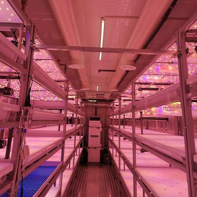 Chine Hydroponique actionné solaire d'OEM 110V élèvent des conteneurs pour des brassica à vendre