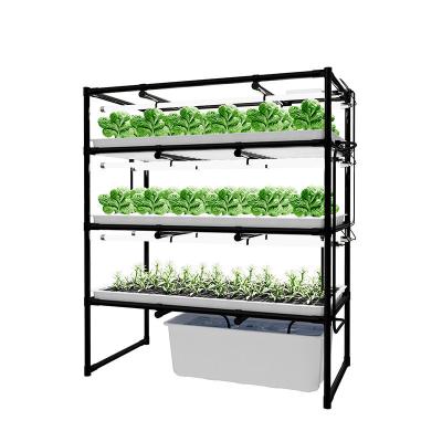 Китай Изготовленные на заказ Hydroponic растут фермы шкафа крытые вертикальные для густолиственного зеленого цвета продается