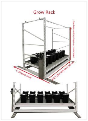 China sistemas de cultivo hidropónicos de acero de la vertical de los 4x6ft para la horticultura en venta