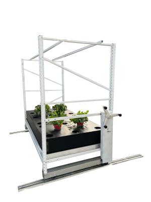 China Aangepast 5ft*18ft Aeroponics Sla het Groeien Rek voor Installaties Te koop