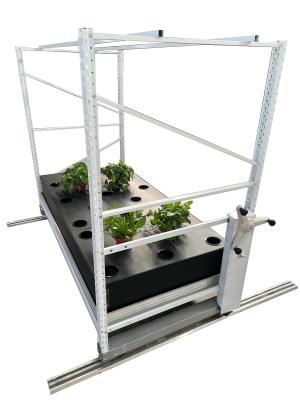 China 4ft*12ft Tomatencannabis het Groeien de Rekken 80 Gaten Aeroponic kweken Systeem Te koop