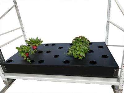 中国 場所のAeroponic 40箱のHydroponic成長箱のトマトの水上飛行機はシステムを育てる 販売のため