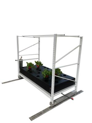 Κίνα 2ft*12ft υδροπονικό αυξανόμενο σύστημα Aeroponic ραφιών ντοματών αυξανόμενο με τον κάδο Cloner προς πώληση